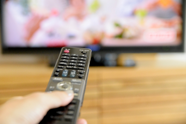 好きなテレビ番組